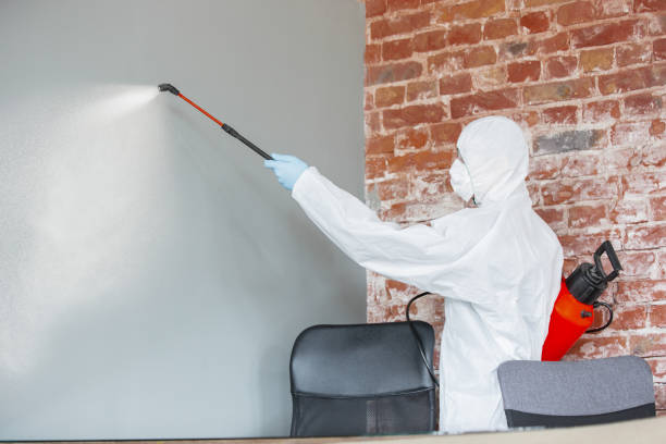 Best Attic Mold Removal  in Westfield, NJ