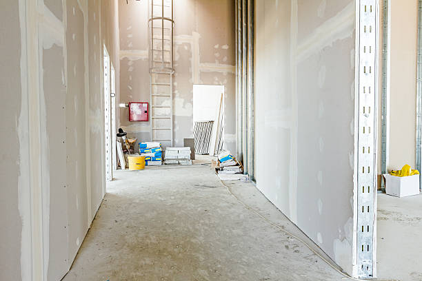 Best Mold Prevention Services  in Westfield, NJ